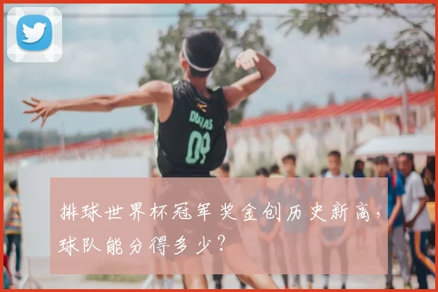排球世界杯冠军奖金创历史新高，球队能分得多少？