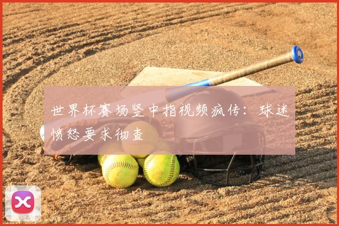 世界杯赛场竖中指视频疯传：球迷愤怒要求彻查