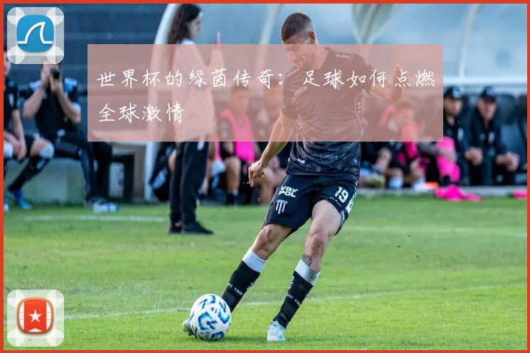 世界杯的绿茵传奇：足球如何点燃全球激情