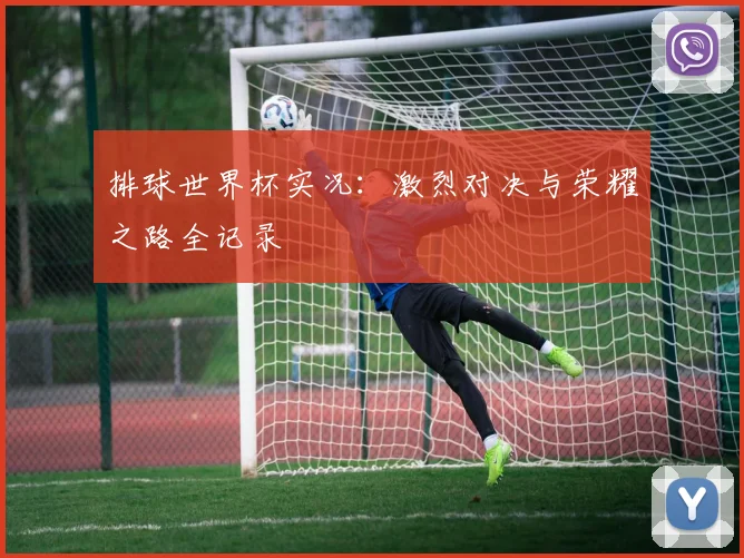 排球世界杯实况：激烈对决与荣耀之路全记录