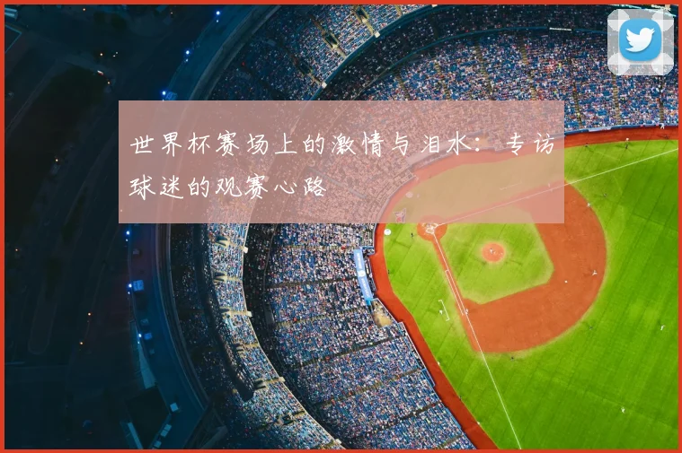 世界杯赛场上的激情与泪水：专访球迷的观赛心路