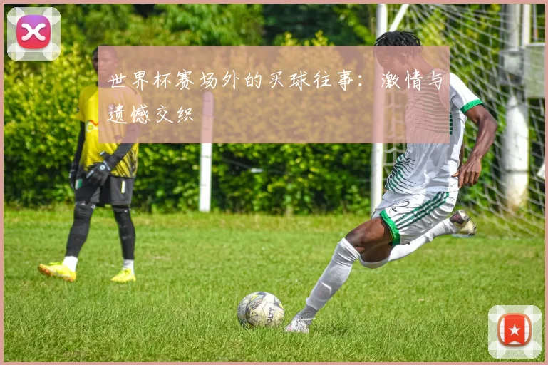 世界杯赛场外的买球往事：激情与遗憾交织